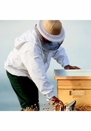 GUERLAIN ABEILLE ROYALE 30ml – Bild 2